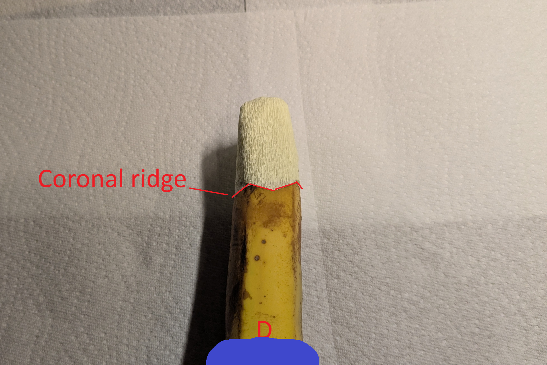 4ba778c92616d16e8e646304dc215b52.png