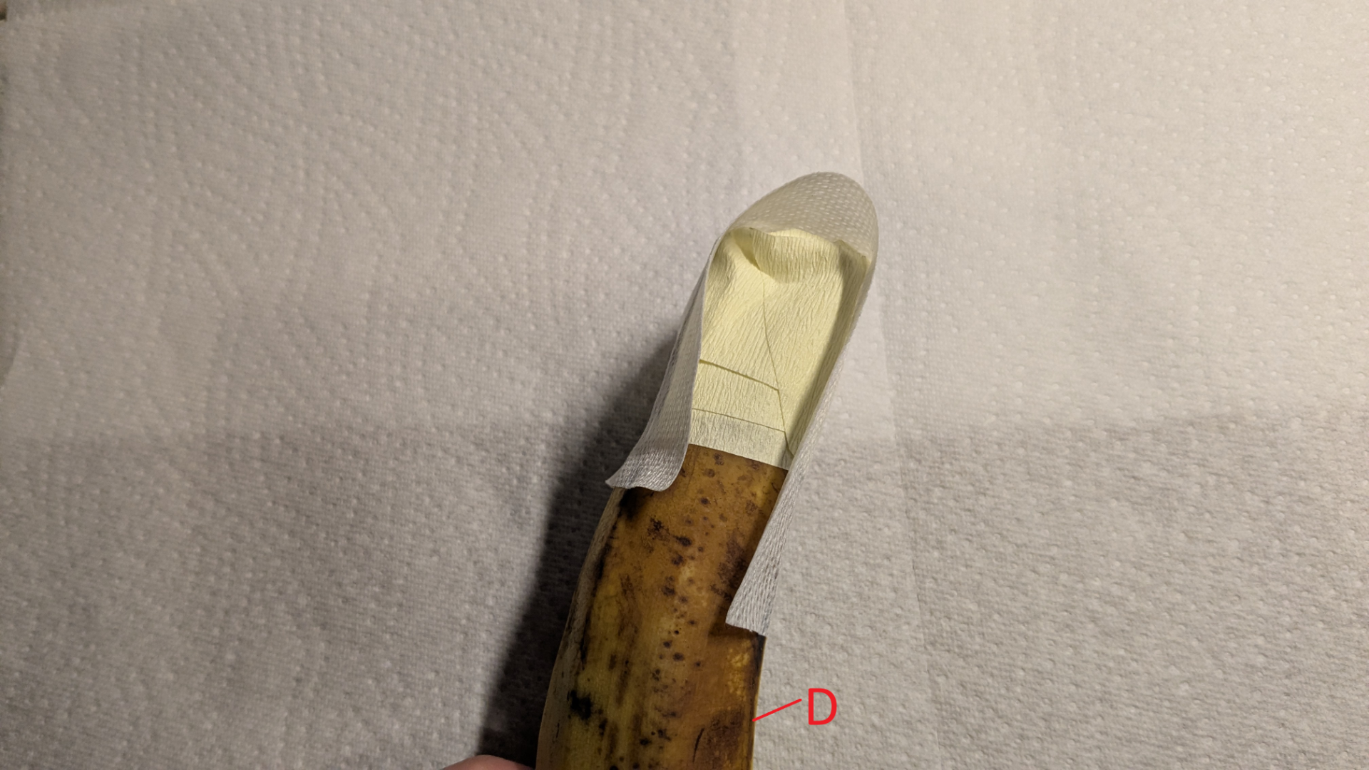 548dcc22297feac15e88b6ce718fd1b6.png